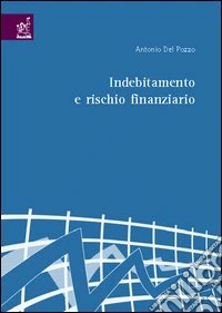 Indebitamento e rischio finanziario