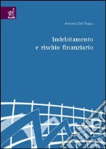 Indebitamento e rischio finanziario libro