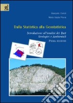 Dalla statistica alla geostatistica. Introduzione all'analisi dei dati geologici e ambientali