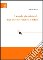 La tutela giurisdizionale degli interessi collettivi e diffusi