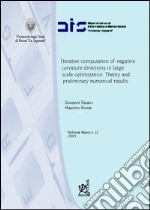 Iterative computation of negative curvative directions in large scale optimization: theory and preliminary numerical results libro