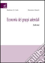 Economia dei gruppi aziendali. Schemi