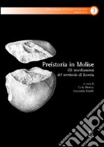 Preistoria in Molise. Gli insediamenti del territorio di Isernia libro