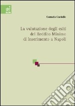 La valutazione degli esiti del reddito minimo di inserimento a Napoli libro