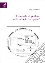 Primo controllo di gestione nelle aziende «no-profit»