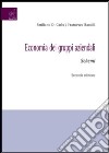 Economia dei gruppi aziendali. Schemi libro