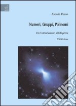 Numeri, gruppi, polinomi. Un'introduzione all'algebra libro