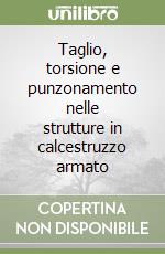 Taglio, torsione e punzonamento nelle strutture in calcestruzzo armato libro