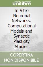 In Vitro Neuronal Networks. Computational Models and Synaptic Plasticity Studies