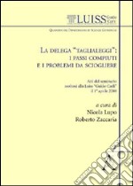 La delega «Taglialeggi»: i passi compiuti e i problemi da sciogliere. Atti del Seminario svoltosi alla Luiss Guido Carli (Roma, 1 aprile 2008)