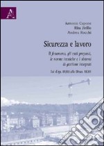 Sicurezza e lavoro. Il fenomeno, gli enti preposti, le norme tecniche e i sistemi di gestione integrati libro