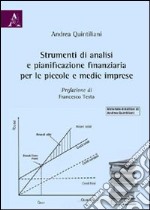 Strumenti di analisi e pianificazione finanziaria per le piccole e medie imprese libro