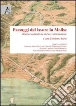 Paesaggi del lavoro in Molise. Itinerari culturali tra storia e valorizzazione libro