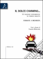 Il dolce cammino... Fermate a richiesta libro