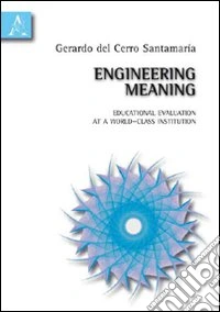 Engineering meaning. Educational evaluation at a world-class institution