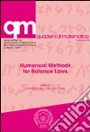 Numerical methods for balance laws libro