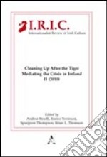 Internationalist review of irish culture. Cleaning up after the tiger. Mediating the crisis in Ireland