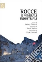 Rocce e minerali industriali libro