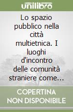 Lo spazio pubblico nella città multietnica. I luoghi d'incontro delle comunità straniere come risorsa per la città contemporanea libro