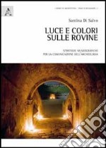 Luce e colori sulle rovine. Strategie museografiche per la comunicazione dell'archeologia libro