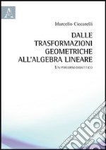 Dalle trasformazioni geometriche all'algebra lineare. Un percorso didattico libro