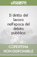 Il diritto del lavoro nell'epoca del debito pubblico libro