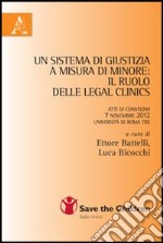 Un sistema di giustizia a misura di minore. Il ruolo delle legal clinics. Atti del Convegno (Roma, 7 novembre 2012)