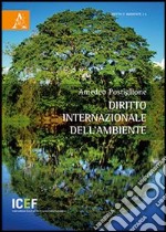 Diritto internazionale dell'ambiente libro