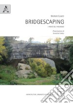 Bridgescaping. I ponti del paesaggio