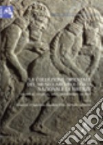La collezione orientale del Museo archeologico di Firenze. Vol. 2: I materiali anatolici e mesopotamici