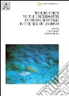 Introduction to the underwater cultural heritage in the sea of Livorno libro