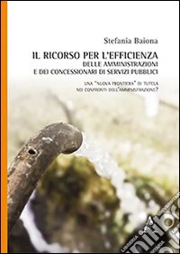 Il ricorso per l'efficienza delle amministrazioni e dei concessionari di servizi pubblici libro