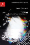 Tetsuo. Dall'era Meji alla contemporaneità libro