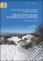 Precipitazioni nevose sui monti Avella-Partenio. Appennino Campano. Con CD-ROM