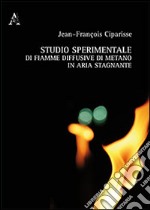 Studio sperimentale di fiamme diffusive di metano in aria stagnante