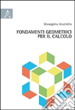 Fondamenti geometrici per il calcolo libro