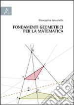 Fondamenti geometrici per la matematica libro