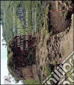 Complessi buddhistici nella valle dello Swat. L'arca sacra di Tokar-Dara. Vol. 1: Tipologie, tecniche costruttive, problemi di conservazione