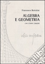 Algebra e geometria. Una storia comune libro