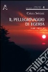 Il pellegrinaggio di Egeria. Saggi e ricerche libro