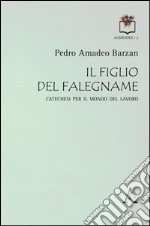 Il figlio del falegname. Catechesi per il mondo del lavoro