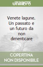 Venete lagune. Un passato e un futuro da non dimenticare libro