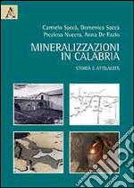 Mineralizzazioni in Calabria. Storia e attualità libro