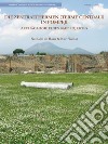 Die Zentralthermen (Terme Centrali) in Pompeji. Archäologie eines Bauprojektes libro