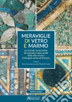 Meraviglie di vetro e marmo. Le vicende conservative dei pannelli in opus sectile della villa romana di Faragola ad Ascoli Satriano libro