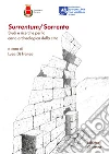 Surrentum/Sorrento. Studi e ricerche per la carta archeologica della città libro