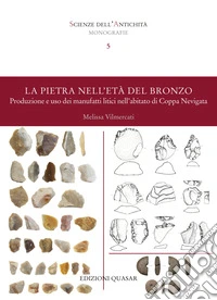 La pietra nell'età del Bronzo. Produzione e uso dei manufatti litici nell'abitato di Coppa Nevigata libro