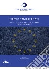 Diritto penale europeo. Effetti e conseguenze sul sistema penale nazionale libro