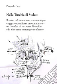 Nella Turchia di Sudest. Il senso del camminare - o comunque viaggiare quasi fosse un camminare - tra i confini di una terra di confine e in altre terre comunque confinarie