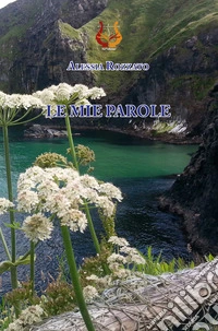 Le mie parole